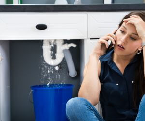 About Plumbers Pros Strawberry, AR
